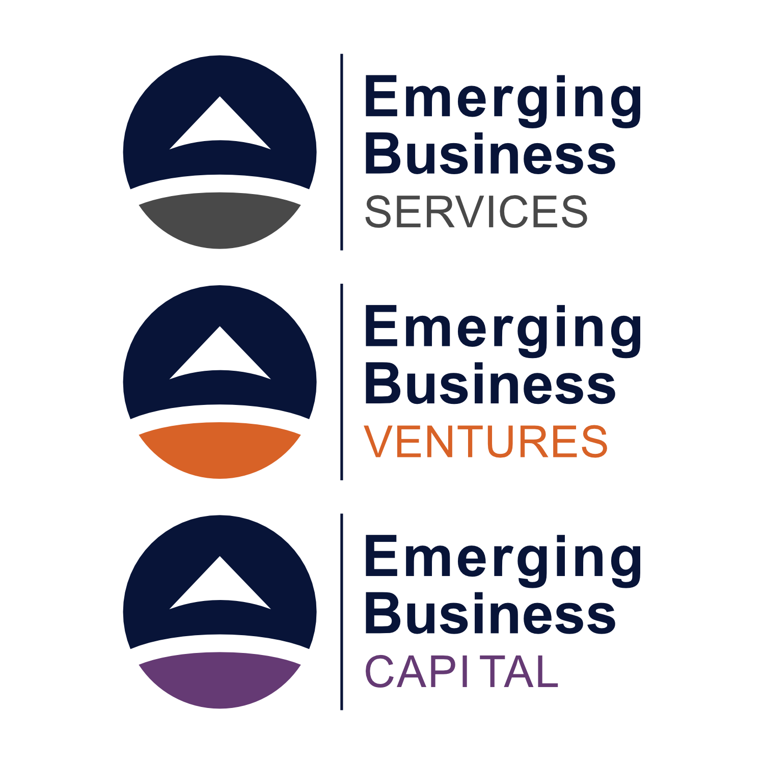 Emerging Business Logo